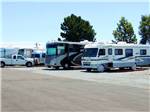 View larger image of RVs and truck and trailers camping at MARIN RV PARK image #3