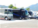 View larger image of RVs parked in a row at MARIN RV PARK image #5
