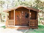 The rental rustic cabin A at CAPE KIWANDA RV RESORT & MARKETPLACE - thumbnail