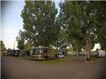 RVs and truck and trailers camping under large trees at MT VIEW RV ON THE OREGON TRAIL - thumbnail