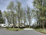 Parked RV's at site Burns RV Park - thumbnail