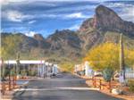 View larger image of A row of mobile homes at PICACHO PEAK RV RESORT image #1