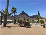 View larger image of Cactus and old wagon at PICACHO PEAK RV RESORT image #5