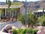View larger image of View of pool and hot tub at PICACHO PEAK RV RESORT image #6