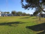 View larger image of A grassy area by the RV sites at PORT ST LUCIE RV RESORT image #9