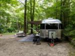 An Airstream trailer parked in a treed site - thumbnail