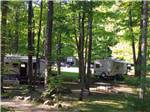 View larger image of Trees surround the RV sites at MT GREYLOCK CAMPSITE PARK image #2
