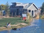 Child feeding a duck at MEADOWS OF SAN JUAN RV RESORT - thumbnail