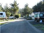 View larger image of RVs and truck and trailers camping at TURTLE ROCK RV RESORT image #2