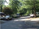 Some RV sites under trees at MAMA GERTIE'S HIDEAWAY CAMPGROUND - thumbnail