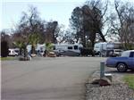 A paved road leading to the RV sites at JGW RV PARK - thumbnail