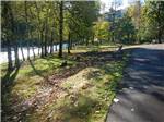 View larger image of A road next to the river at CASEYS RIVERSIDE RV PARK image #2