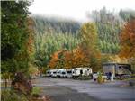 View larger image of RVs parked among fall trees at CASEYS RIVERSIDE RV PARK image #3