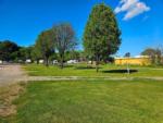 View of tree-lined RV sites at BOBCAT CROSSING RV COMMUNITY - thumbnail