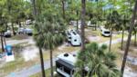 view of campsites among palm trees - thumbnail