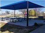 View larger image of Picnic patio area under blue cover with playground in background at CAMPING WORLD RACING RESORT image #3