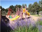 Campground photo thumbnail