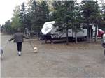 Camper walking two dogs in RV campground at WAWA RV RESORT & CAMPGROUND - thumbnail