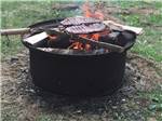 Fire pit with steaks on the grill at WAWA RV RESORT & CAMPGROUND - thumbnail