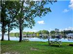 Picnic tables along the shore at Taw Caw Campground & Marina - thumbnail