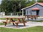 Picnic tables at paved sites surrounded by grass at Bayberry RV Park - thumbnail