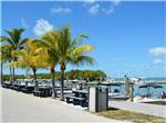 View larger image of Picnic tables in harbor with ocean view at FIESTA KEY RV RESORT image #7