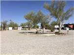 A group of gravel RV sites at THE SCENIC ROAD RV PARK - thumbnail