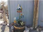 A potted cactus with a birdhouse at THE SCENIC ROAD RV PARK - thumbnail