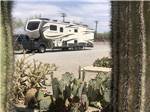 A view thru the cactus of a fifth wheel trailer at THE SCENIC ROAD RV PARK - thumbnail