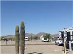 View larger image of Trailers camping at campsite at QUAIL RUN RV PARK image #9