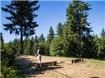 View larger image of Horseshoe pit  at TALL CHIEF RV  CAMPING RESORT image #6