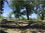 A dirt RV site overlooking the water at MILLPOINT RV PARK - thumbnail