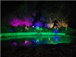 Night by the pond - thumbnail