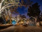 Rentals under a starry sky at LIVE OAK LANDING RV PARK - thumbnail