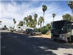 View larger image of RVs backed in at THE RV PARK AT THE PIMA COUNTY FAIRGROUNDS image #3