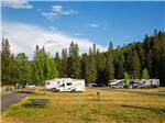 RVs parked on grassy sites at THOUSAND TRAILS YOSEMITE LAKES - thumbnail