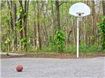 View larger image of Basketball court  at THOUSAND TRAILS THREE FLAGS image #5