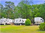 View larger image of RVs and trailers at campground at THOUSAND TRAILS THREE FLAGS image #6