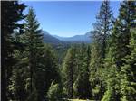 View larger image of View of forest at LEAVENWORTH RV CAMPGROUND image #9
