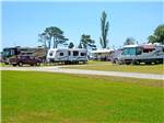 RVs parked on grassy sites at THOUSAND TRAILS VIRGINIA LANDING - thumbnail