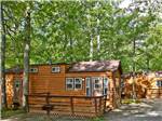 Log cabins at campground at THOUSAND TRAILS WILLIAMSBURG - thumbnail