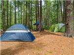 View larger image of Tents and picnic table at GATEWAY TO CAPE COD RV CAMPGROUND image #3