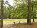 View larger image of Picnic table in clearing at GATEWAY TO CAPE COD RV CAMPGROUND image #5