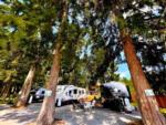Parked trailer at site Mountainaire Campground & RV Park - thumbnail