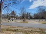 Paved sites with trees - thumbnail