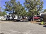 View larger image of A row of tree lined RV sites at SOUTHAVEN RV PARK image #5