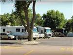 RVs parked next to a tree at TOWER CAMPGROUND - thumbnail