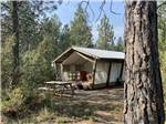 Table by tent rental - thumbnail