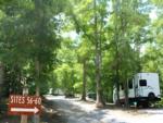 View of campground site at Little River Campground - thumbnail