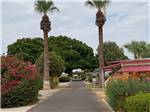 View larger image of The main paved road between two palm trees at SHADY ACRES MH  RV PARK image #2